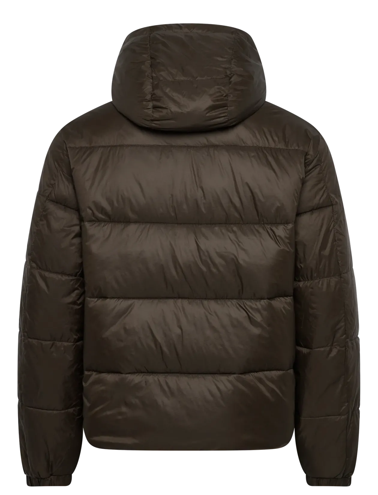 AIRCLOUD HOODED PUFFER - Forede jakker
