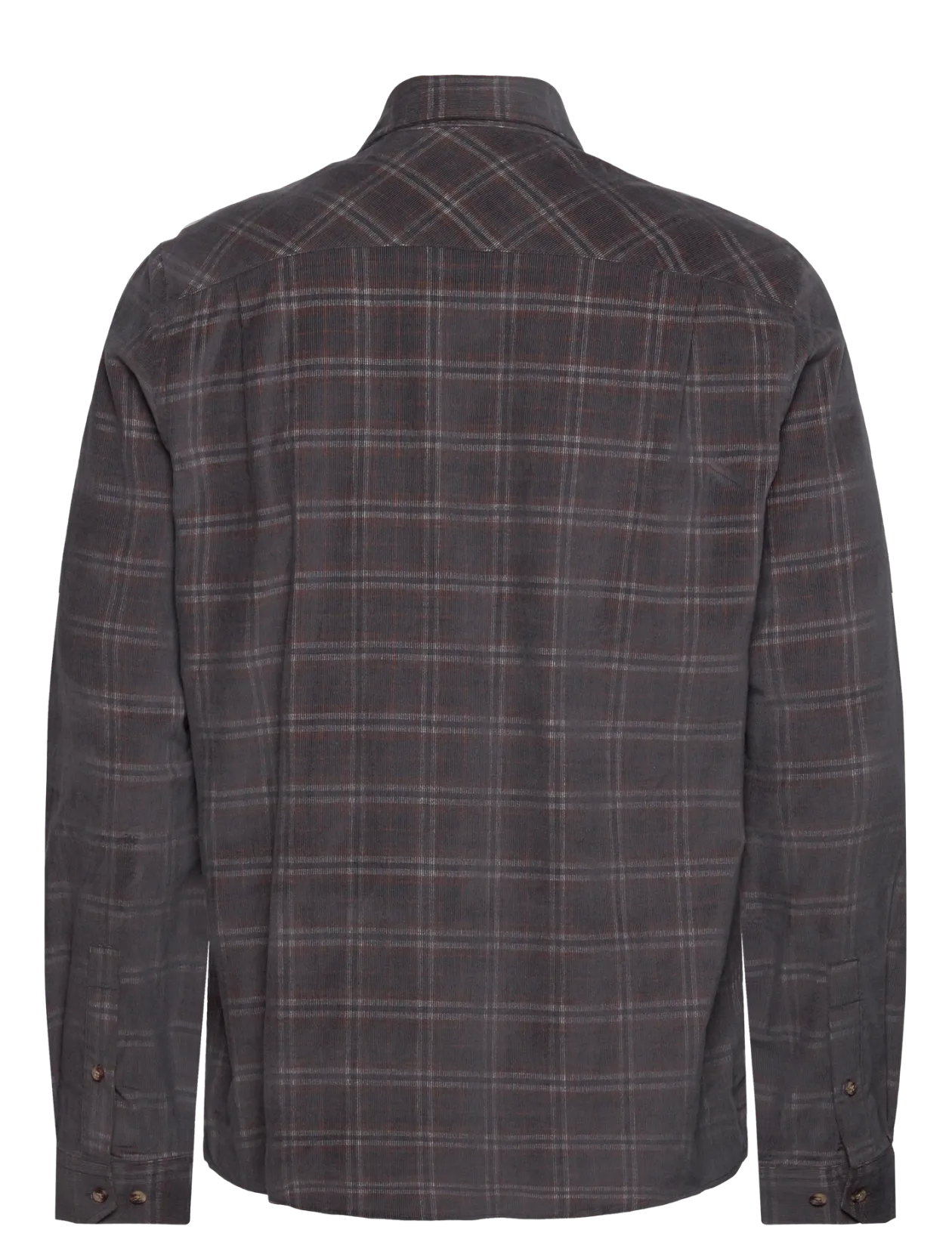 Ashton Reg CO MCS M SHIRT - Ternede skjorter