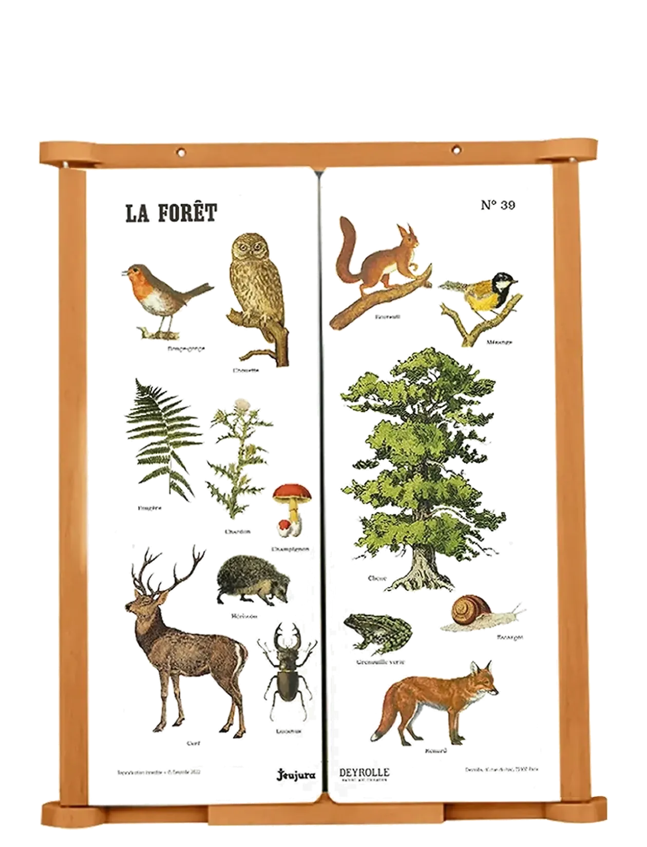 Blackboard - Wall Triptych 82 cm - Forest Deyrolle - Tegnetavler