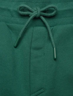 BORG ESSENTIAL 1 SWEATSHORTS - Sweatshorts