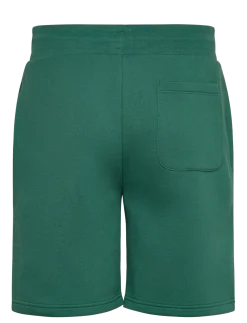 BORG ESSENTIAL 1 SWEATSHORTS - Sweatshorts