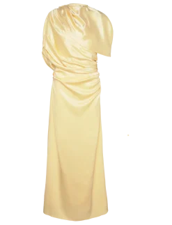 Cassia Draped Fitted Maxi Dress - Maxikjoler