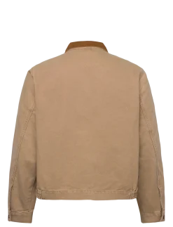 CASTRO FULL ZIP TIGERS EYE CAN - Vindjakker