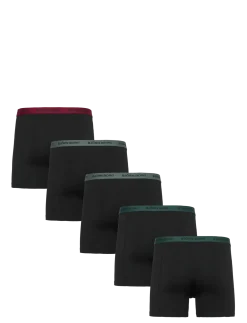 COTTON STRETCH BOXER 5p - Boxershorts
