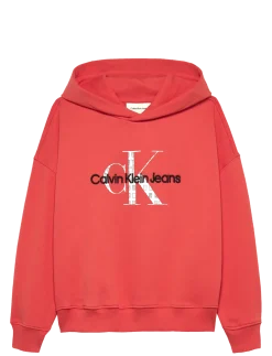 EMBRO LOGO HOODIE - Hættetrøjer