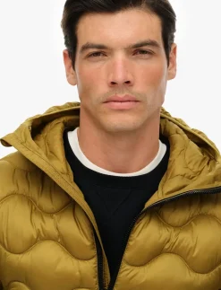 HOODED QUILTED WAVE PADDED JKT - Dunjakker