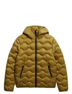 HOODED QUILTED WAVE PADDED JKT - Dunjakker