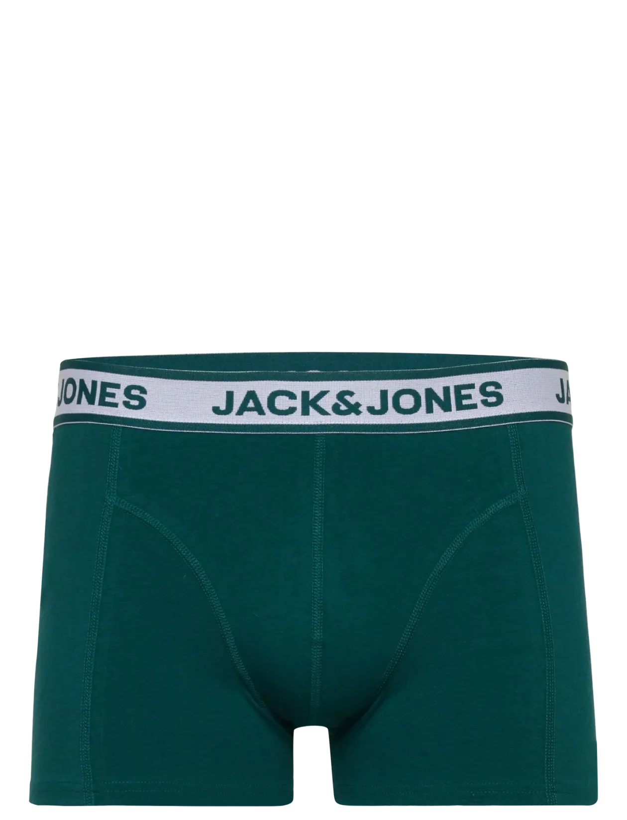 JACBIRD LEAVES TRUNKS 3 PACK - Boxershorts