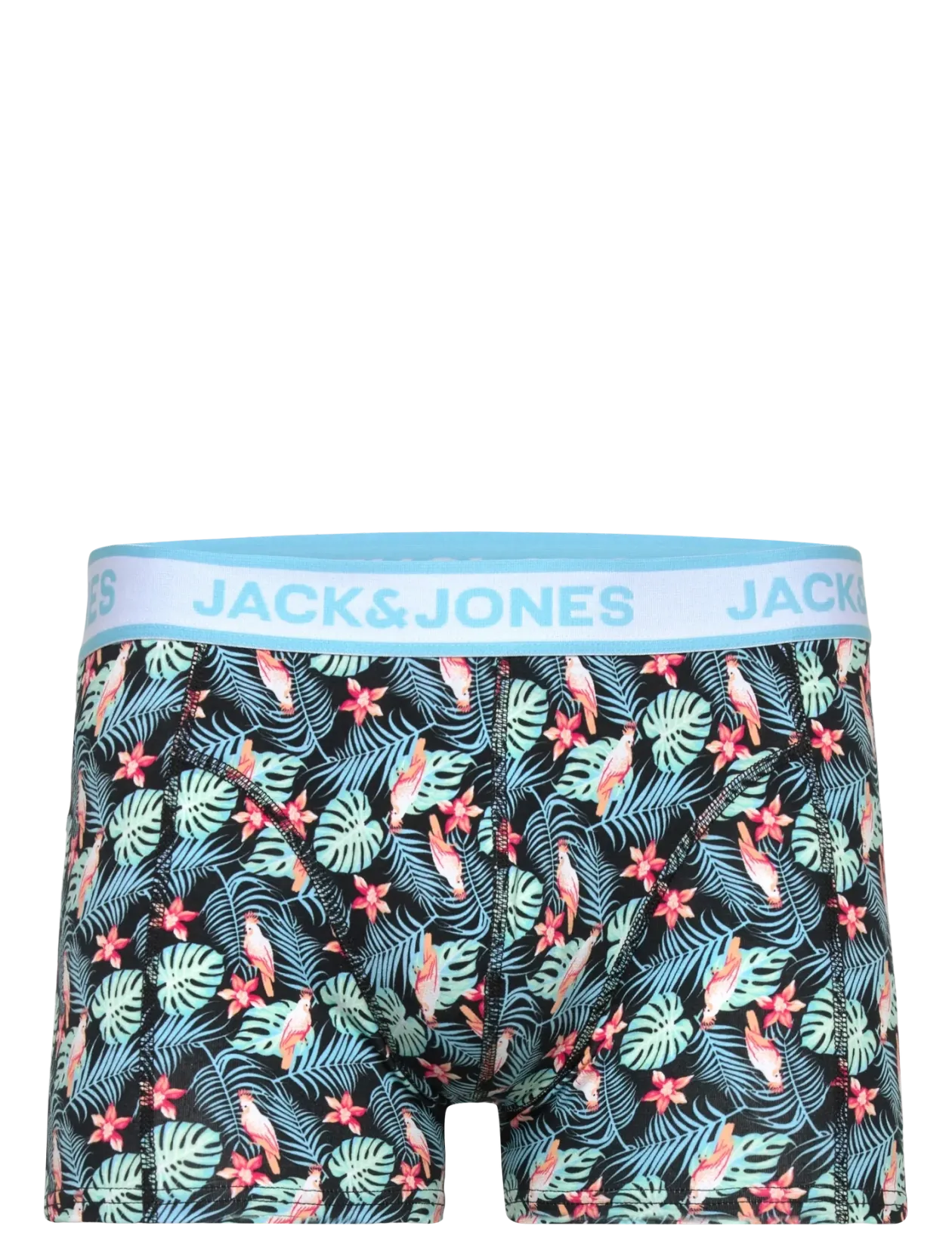 JACBIRD LEAVES TRUNKS 3 PACK - Boxershorts