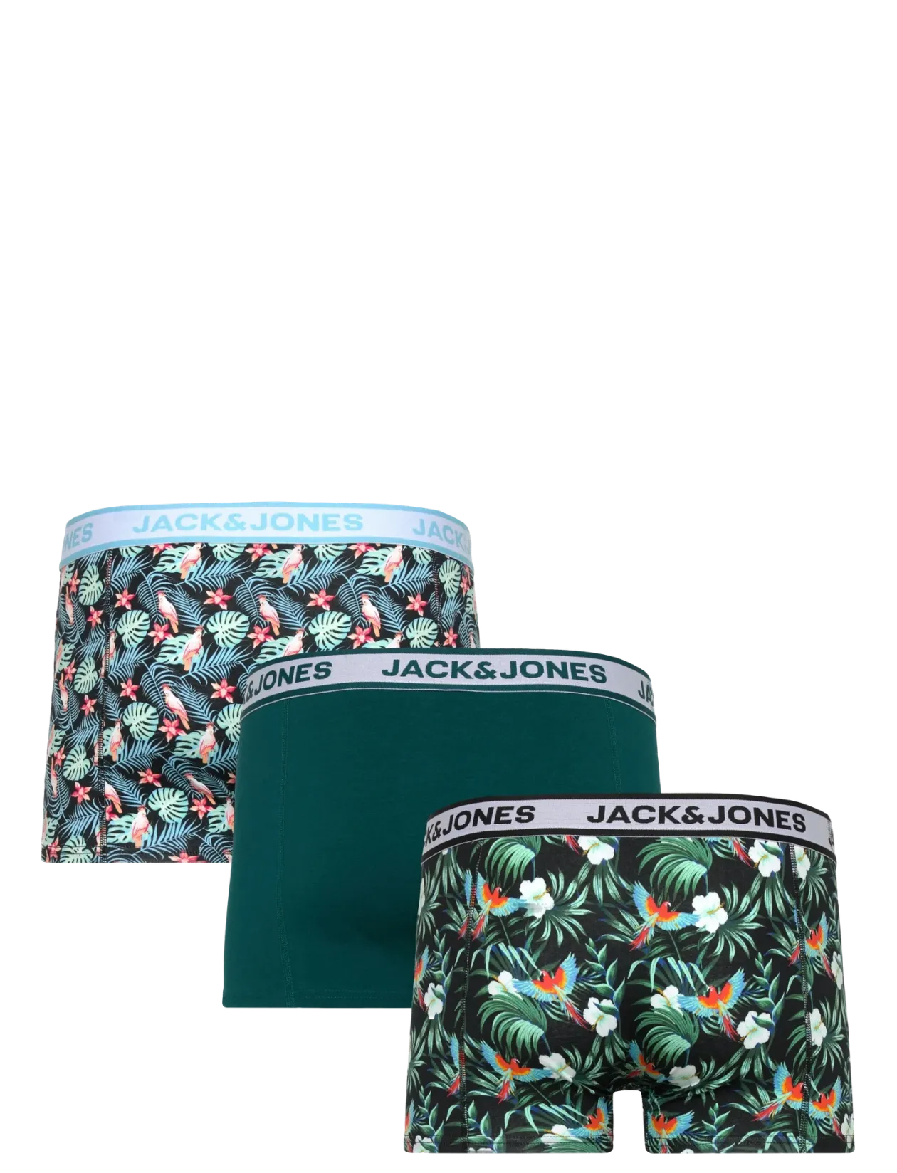 JACBIRD LEAVES TRUNKS 3 PACK - Boxershorts