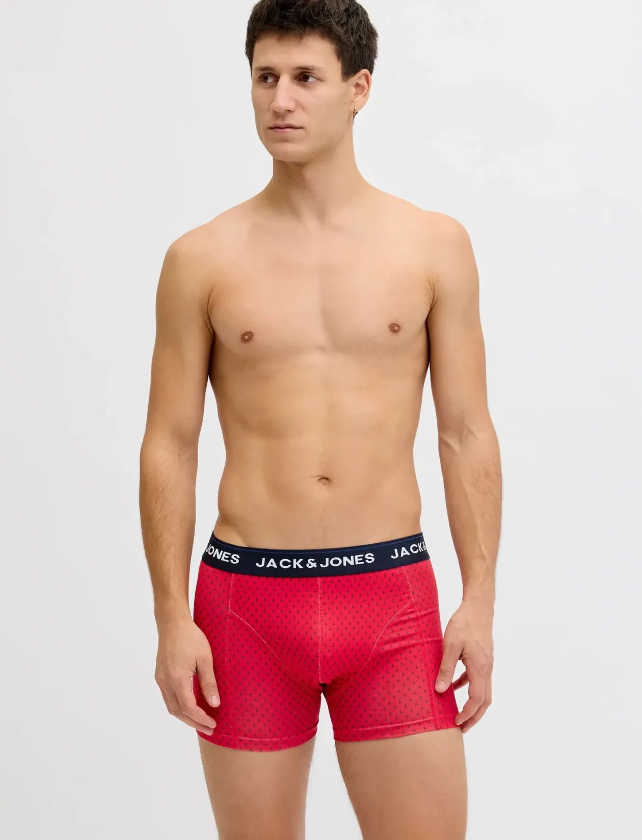 JACPALMTREE TRUNKS 3 PACK SN - Boxershorts