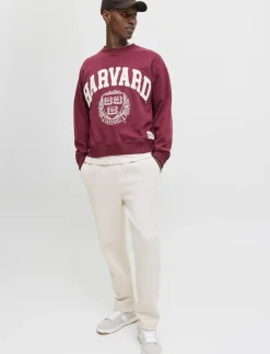 JPSTKANE BRADLEY UNCUFFED SWT PANTS NOOS - Sweatpants