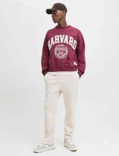 JPSTKANE BRADLEY UNCUFFED SWT PANTS NOOS - Sweatpants