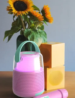 Karaoke set KS-80 Speaker - Dekorativt tilbehør