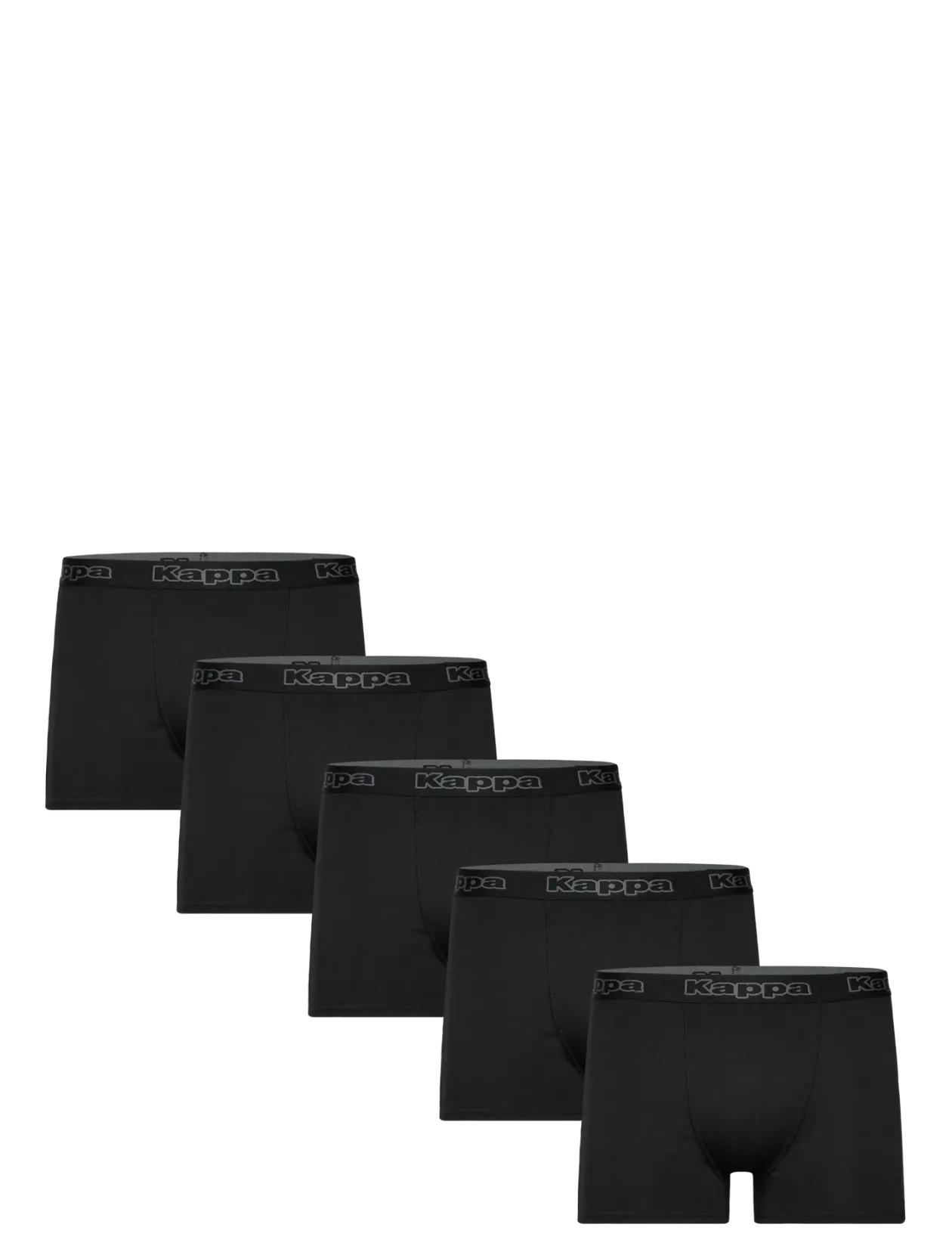 Logo Longus DK 5 pack - Boxershorts
