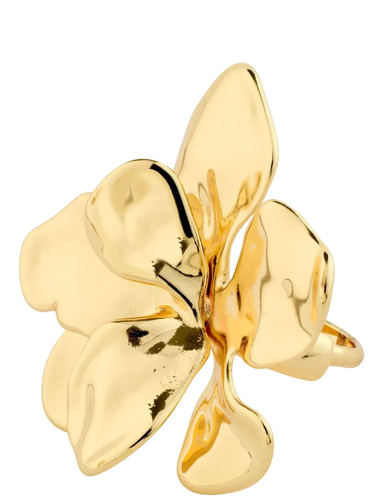 LUNITH ring gold-plated - Ringe