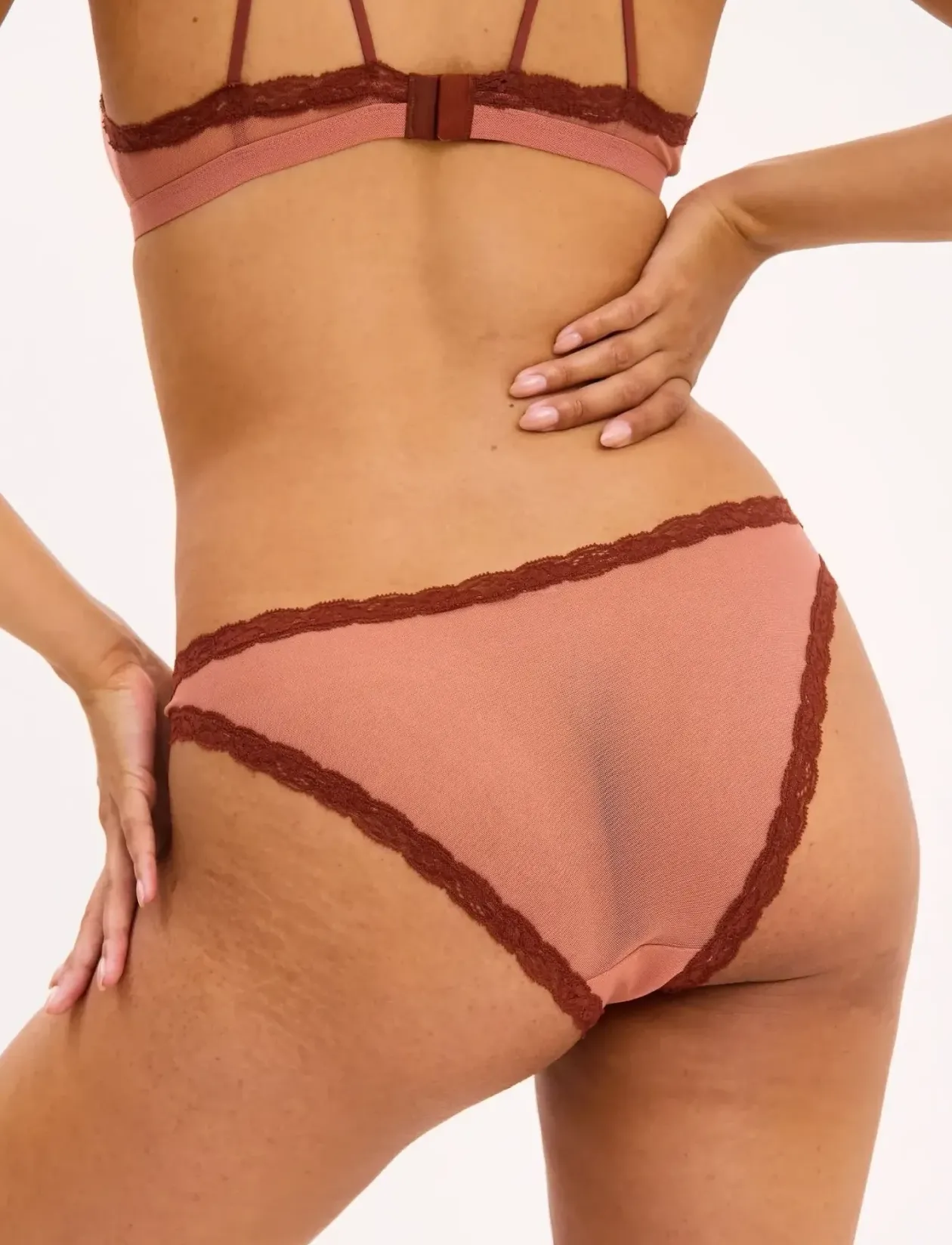 Mesh Lace Trim Bikini Briefs - Briefs