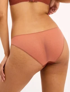 Mesh Tanga Briefs - Briefs