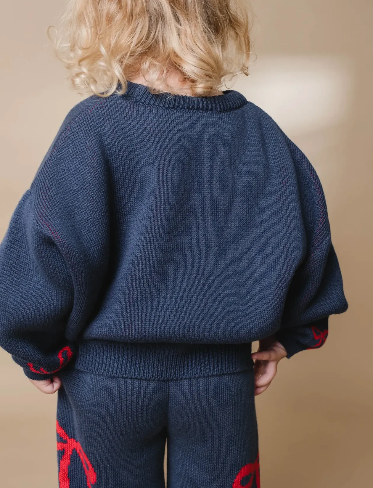 Nasha sweater - Trøjer