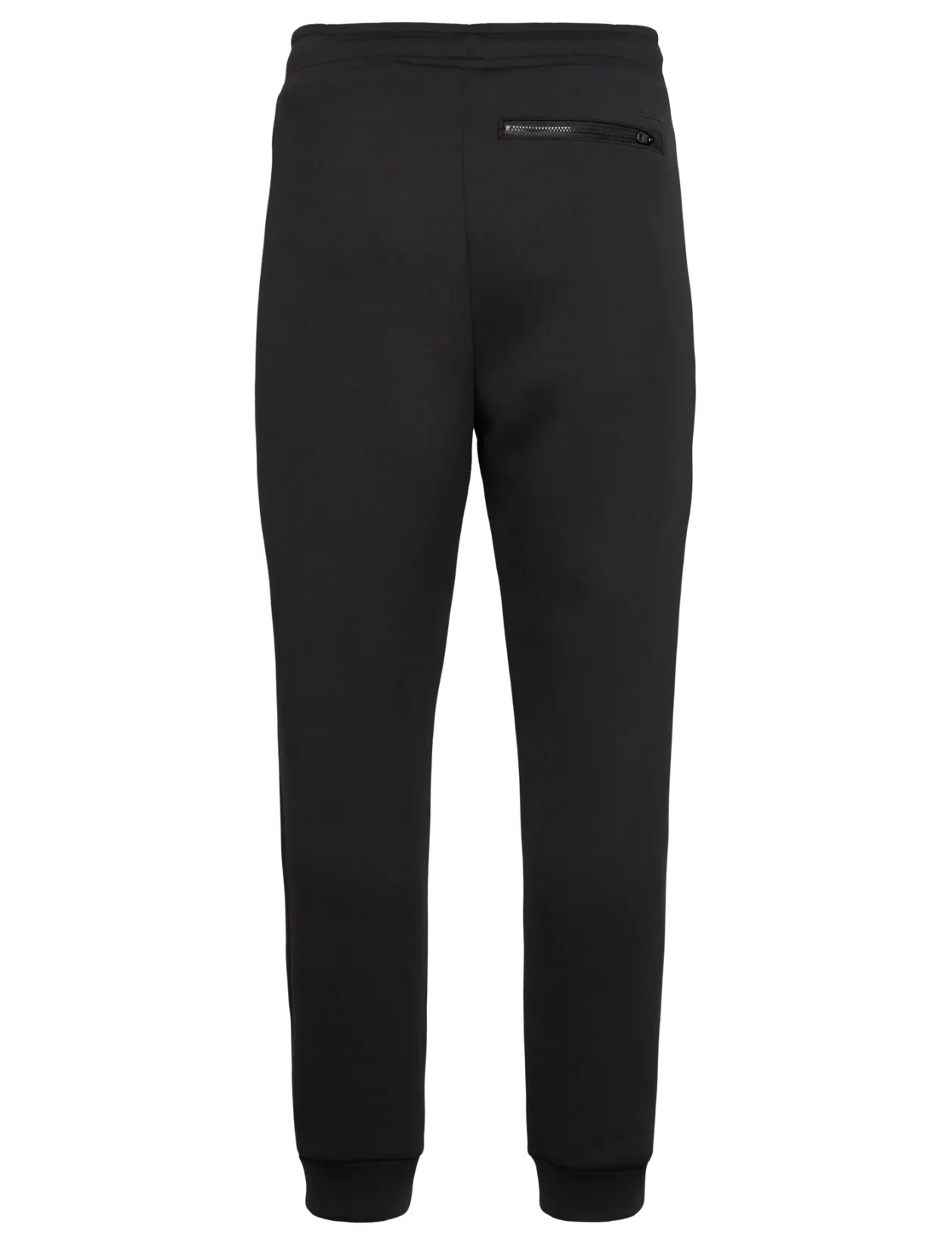 Neoprene Sweatpant - Sweatpants