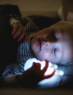 Night Light Solo - Bunny - Natlamper