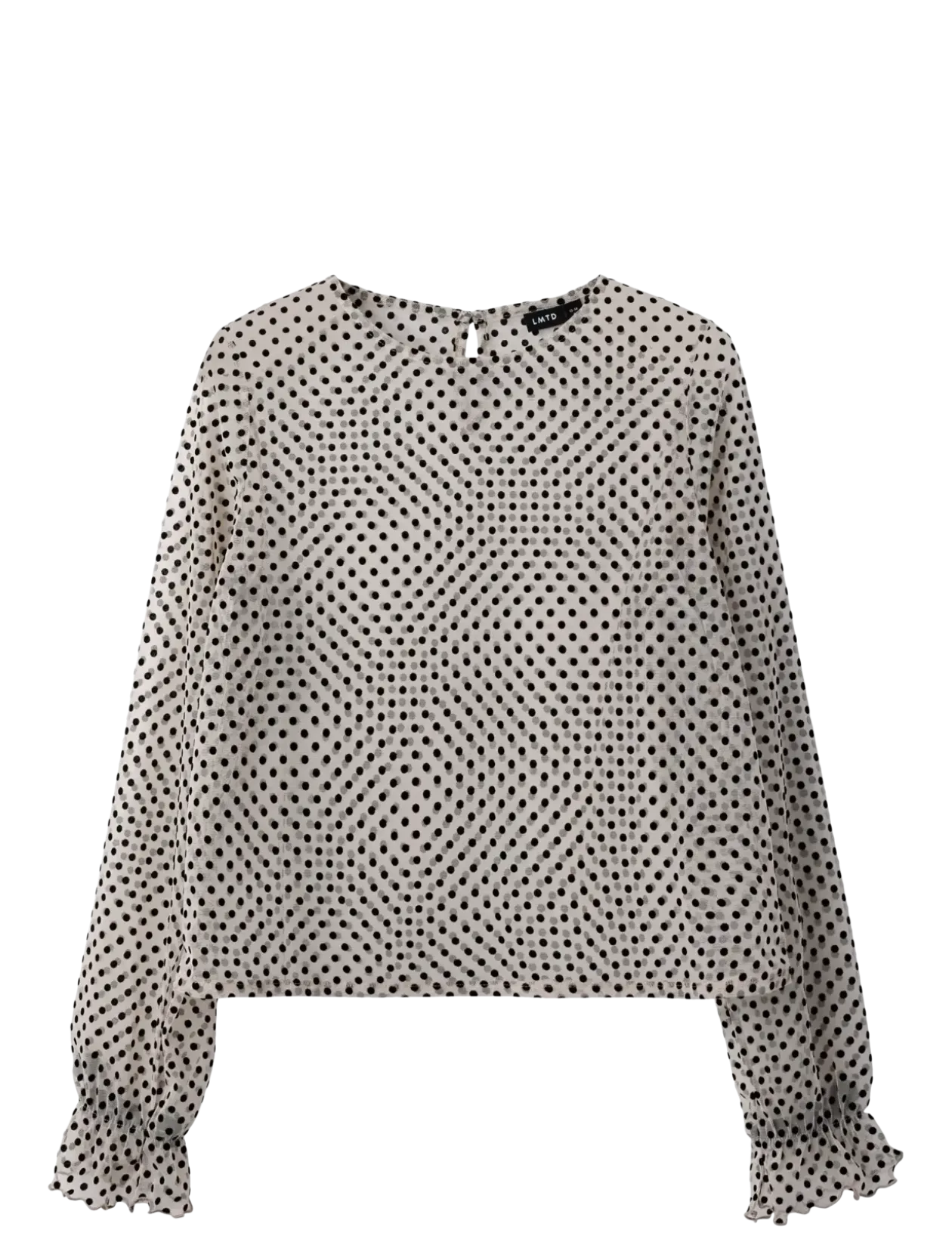 NLFFLEDOT LS O-NECK SHIRT - Bluser & Tunikaer