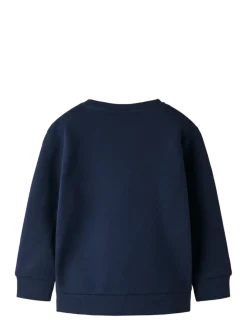 NMFBIRKY LS NREG SWE BRU - Sweatshirts