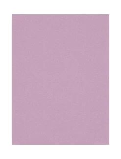 NMFBRIEFS 3P PASTEL LILAC HORSE NOOS - Trusser