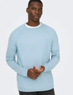 ONSAPOLLO REG LS STRUC CREW KNIT - Rund hals