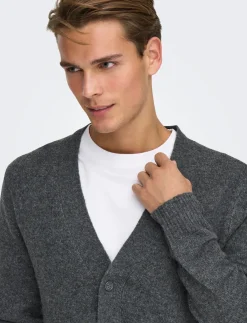 ONSRAY REG LS CARDIGAN KNIT FRML - Cardigans