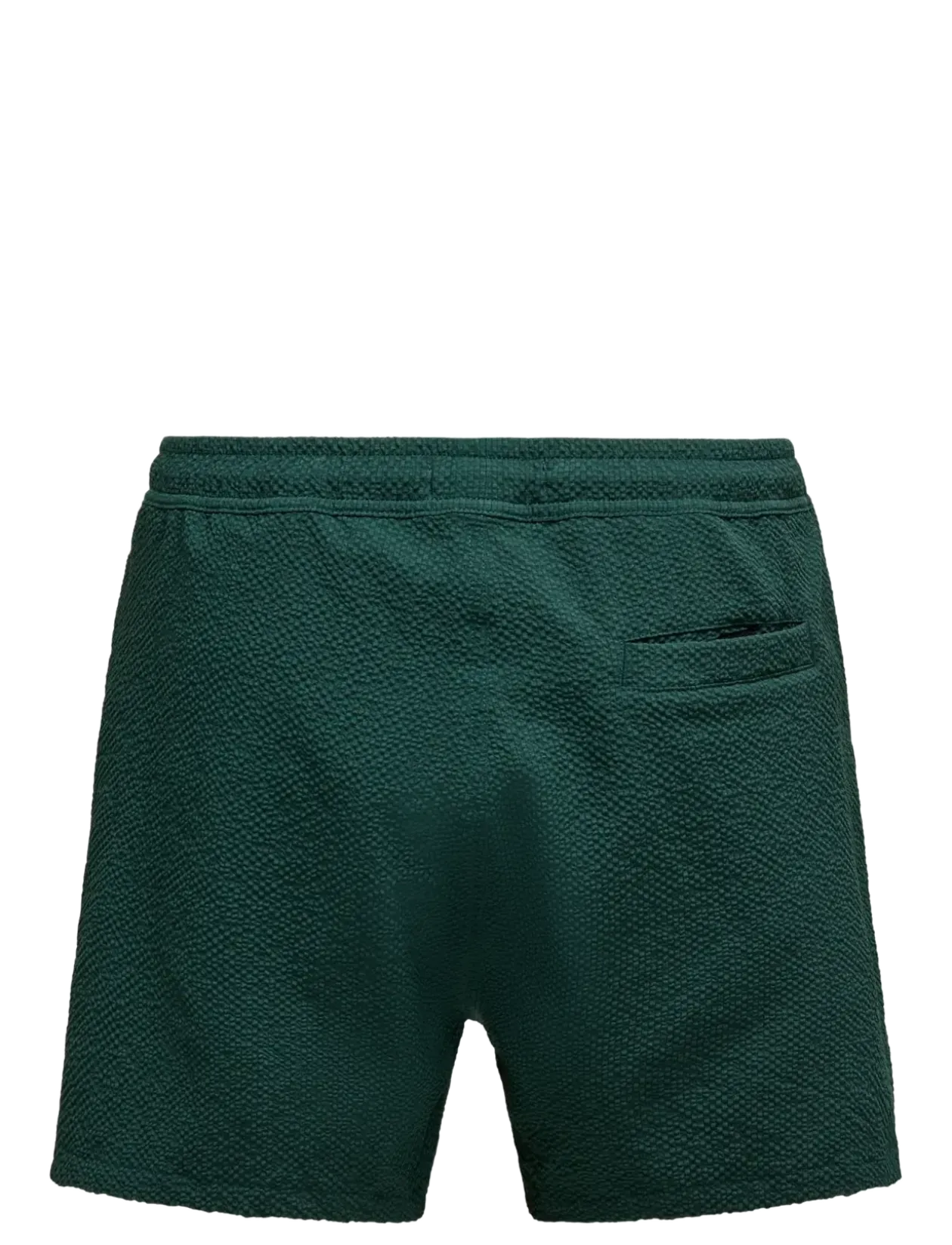 ONSTED LIFE SOLID SEERSUCKER SWIM NOOS - Badebukser