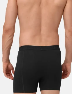 Organic Cotton Trunks (Men) 3-pack - Boxershorts