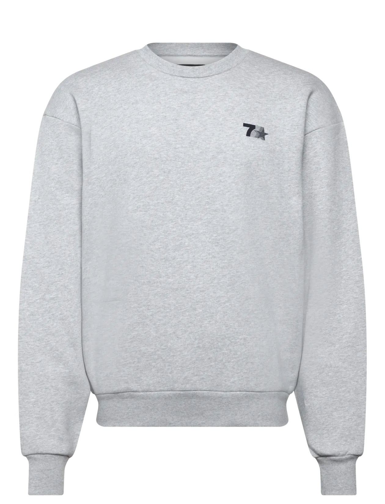 Organic Graphic Regular Crewneck - Sweatshirts