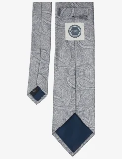 Paisley Silk Tie - Slips