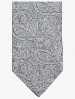 Paisley Silk Tie - Slips
