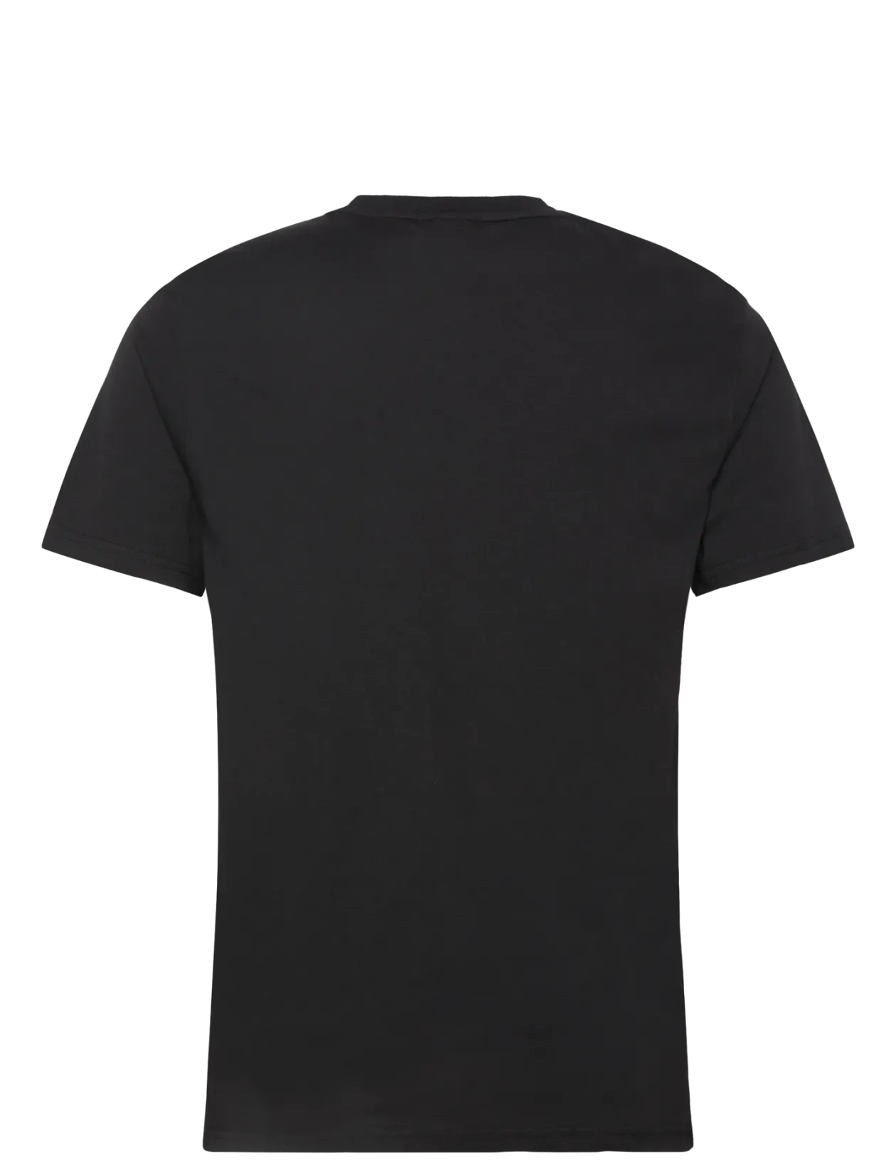 Palms T-Shirt - T-Shirts