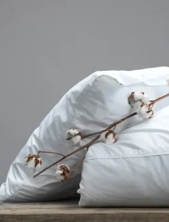 ÖRNGOTT PERCALE HVID 50X90 - Pudebetræk