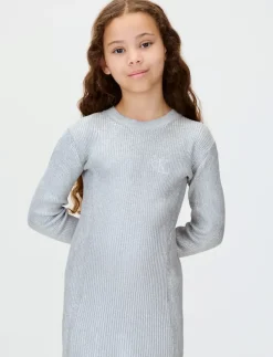 SILVER COATED LS SWEATER DRESS - Langærmede hverdagskjoler