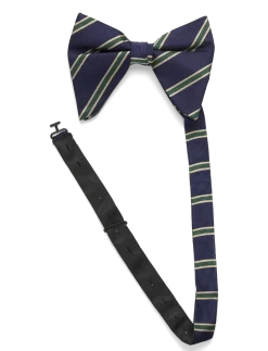 Striped Oversized Bow Tie - Butterflies