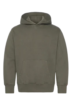 THE AUTHENTIC HOODIE GARMENT D - Hættetrøjer