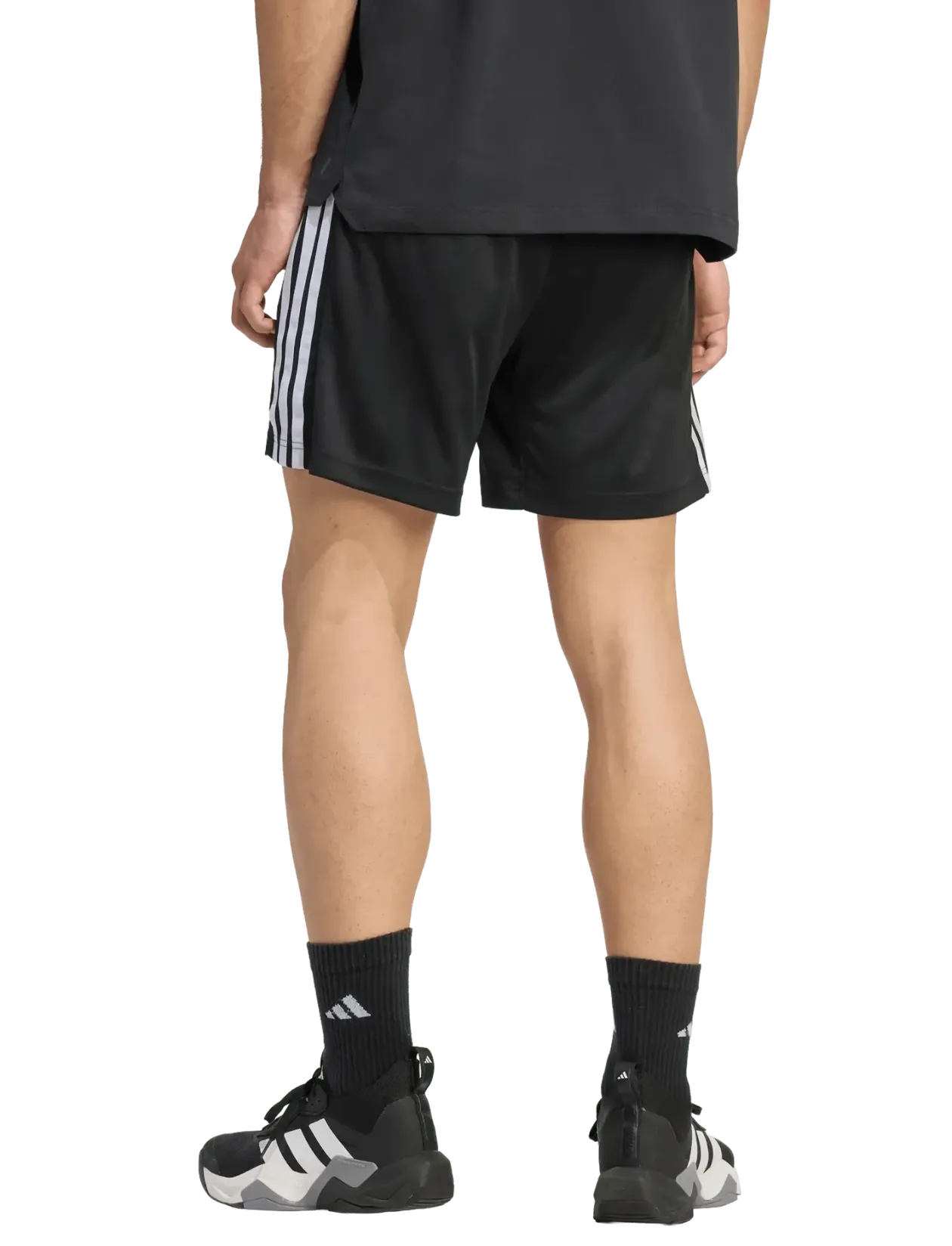 WE BAS 3SPQ S7 - Træningsshorts