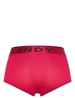 Women's Legend Mesh Boxer - Trusser